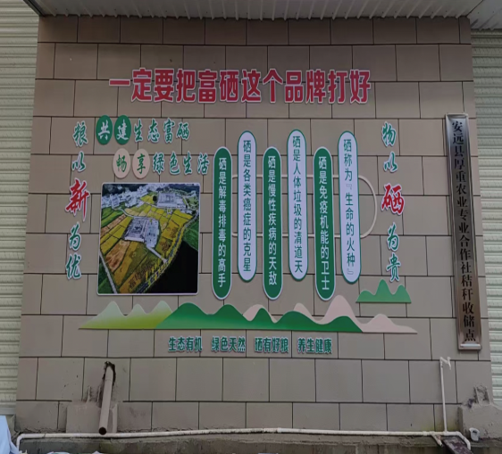 一定要把富硒这个品牌搞好.png